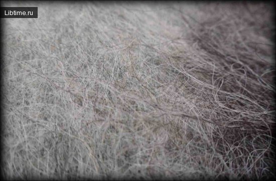 Washing of wool, silk and synthetic garments